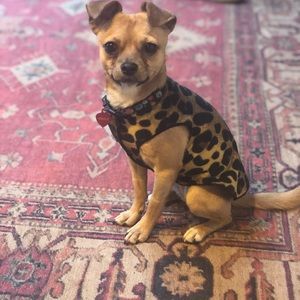 Meet your Posher, Monice